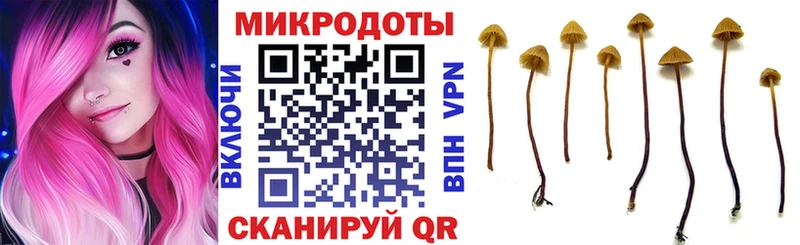 blacksprut как войти  Костерёво  Галлюциногенные грибы GOLDEN TEACHER 